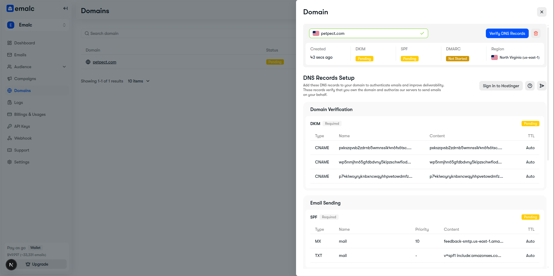 DNS Records Setup drawer displaying detected provider and copyable tokens